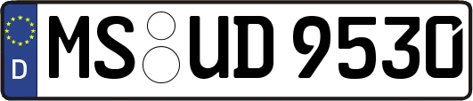 MS-UD9530