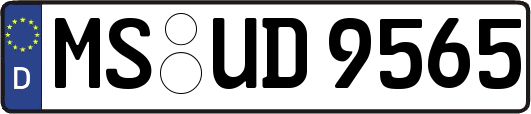 MS-UD9565