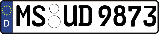 MS-UD9873