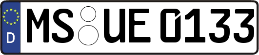 MS-UE0133