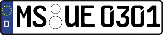 MS-UE0301
