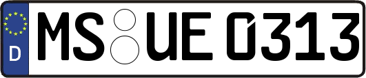 MS-UE0313