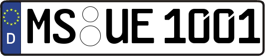 MS-UE1001