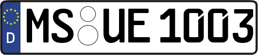 MS-UE1003