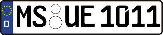 MS-UE1011