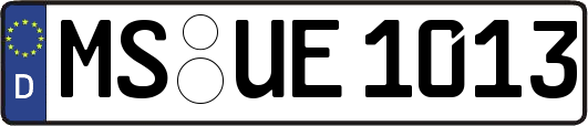 MS-UE1013