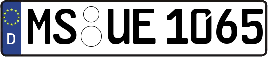 MS-UE1065