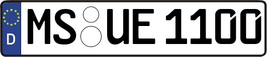MS-UE1100