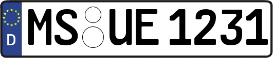 MS-UE1231
