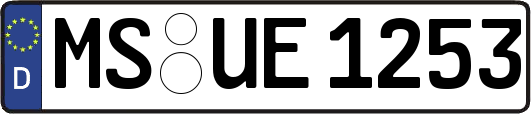 MS-UE1253