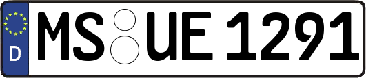 MS-UE1291