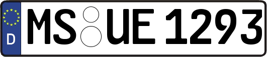 MS-UE1293