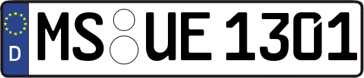 MS-UE1301