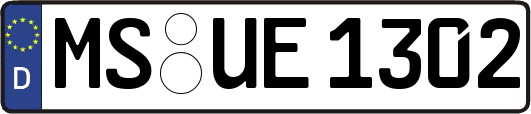 MS-UE1302