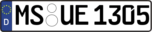 MS-UE1305