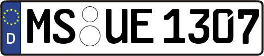MS-UE1307