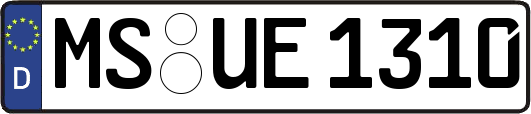 MS-UE1310