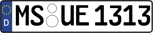 MS-UE1313