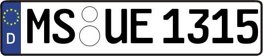 MS-UE1315