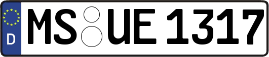 MS-UE1317