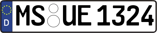 MS-UE1324