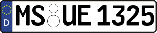 MS-UE1325