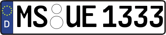 MS-UE1333