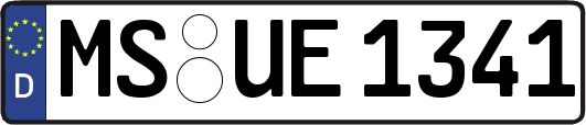 MS-UE1341
