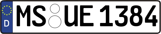 MS-UE1384