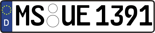 MS-UE1391