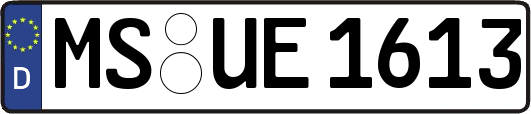 MS-UE1613