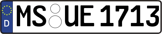 MS-UE1713