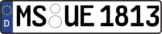 MS-UE1813