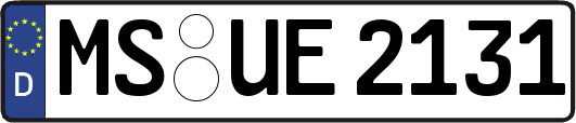 MS-UE2131