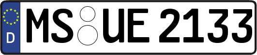 MS-UE2133