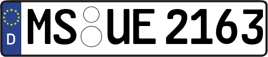 MS-UE2163
