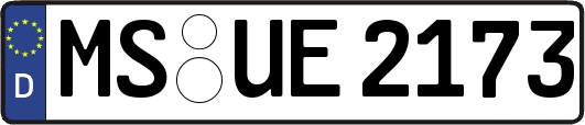 MS-UE2173