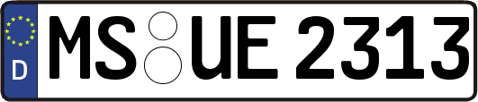 MS-UE2313