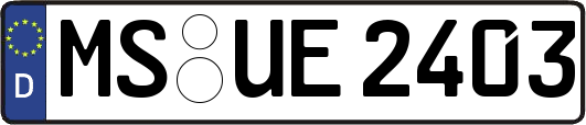 MS-UE2403