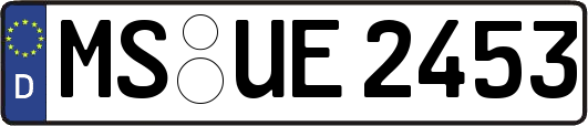 MS-UE2453