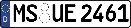 MS-UE2461