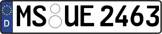 MS-UE2463