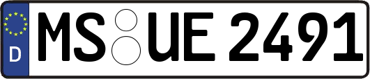 MS-UE2491