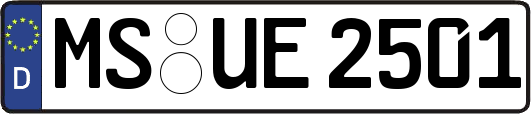 MS-UE2501