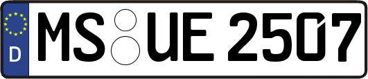 MS-UE2507
