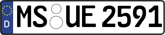 MS-UE2591