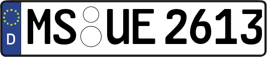 MS-UE2613