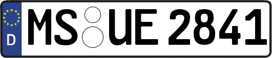 MS-UE2841