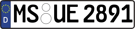 MS-UE2891