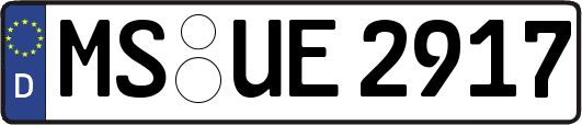 MS-UE2917